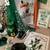 St. Patrick's PARTY Decor - Guinness IRISH Lot 15 thumbnail