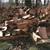Very dry firewood 2 thumbnail