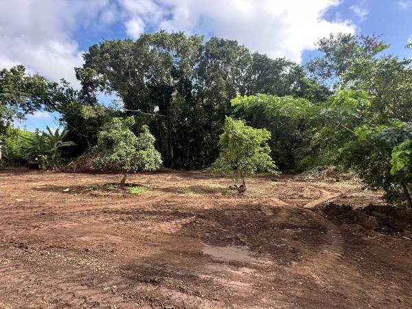 $1 Warehouse and Agricultural Land for Rent