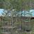 17.71 ACRES IN 2 PARCELS WITH  A CABIN AND A POND! 3 thumbnail