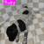 German Short-haired Pointer 4 thumbnail
