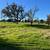 1.75 acres  Rare Find,  build your Dream Home 1 thumbnail