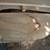 COPPER BEECH HARDWOOD SLABS, WOODWORKING, LATHING 15 thumbnail