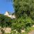 INFINITY GREEN LANDSCAPING (Fence, pavers, Sprinklers system & More) 8 thumbnail