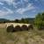 Hay 4x5 round bales 1 thumbnail