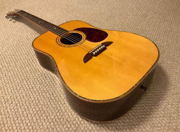 Alvarez PD100S NAT dreadnought-style acoustic guitar 1