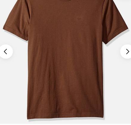 SALE!! BRAWN teeシャツ Z-50th Brown T-shirt (male)