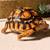 Leopard Tortoise 250$ 5 thumbnail