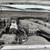 2016 Ford F-250 13 thumbnail