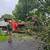 Tree Removal and Tree Trimming Bloomfield Hills 4 thumbnail