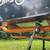 Bakfiets cargo bike w/ extra long box 6 thumbnail