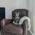Spacious Room in Shared Apartment Near Downtown 10 thumbnail