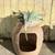 Decorative Cat Litter Box 2 thumbnail