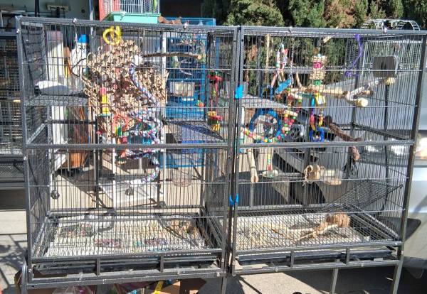 Bird cage with divider - $100 (Citrus Heights)63881395097987120