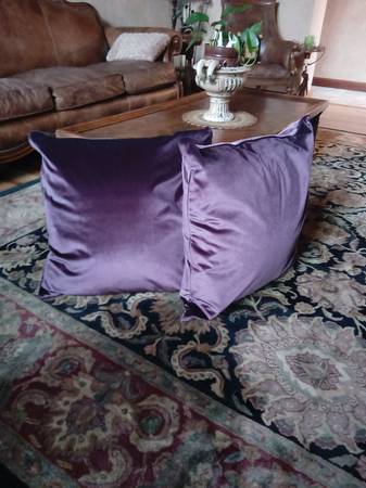 Velveteen  pillows 1
