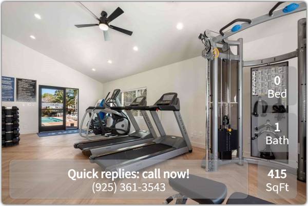 Spacious and extensively upgraded Studio in Pleasant Hill 1