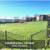 Your dog or cat is welcome! Amazing pet-friendly 3 BR / 2 BA! 2 thumbnail