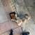 Dog 1 thumbnail