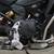 2024 BMW F 900 GS Adventure $229mo $0 Down EZ Ride 17 thumbnail