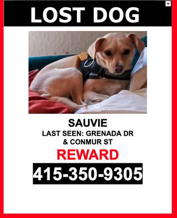 LOST PET-BEIGE/WHITE CHEST & PAWS/RAT TERRIER/FEMALE-$$ Reward$$ (South San Francisco)63874130129283120