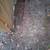 **** DO NOT HIRE E&M Landscaping LLC. **** 12 thumbnail