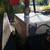 Fuel transfer tanks with 20 GPM pump $1400 OBO 8 thumbnail