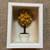 Framed Flower Box 1 thumbnail