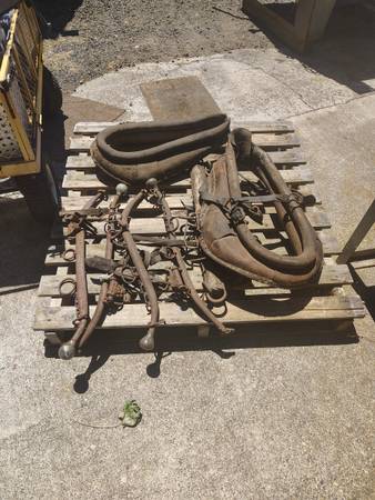 Antique Horse Harnesses 1