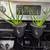 Houseplants Many to choose from 3 thumbnail