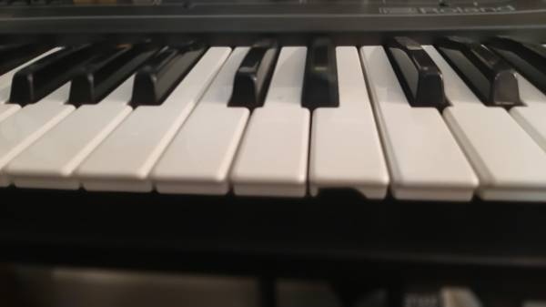 Roland RS-09 keyboard 1