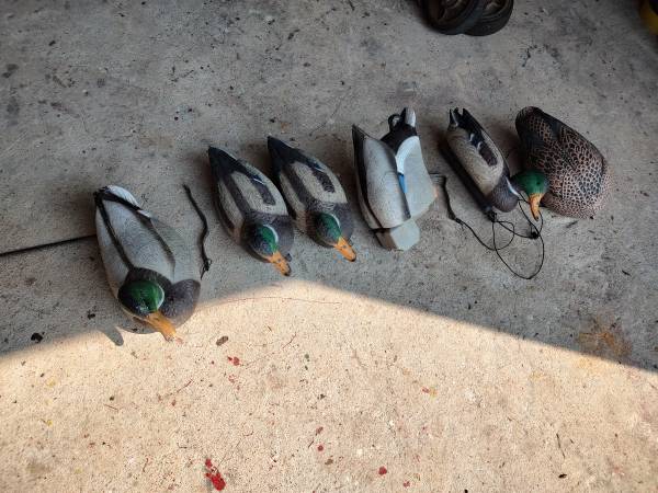 Mallard decoys set 1