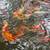 Koi fish 1 thumbnail