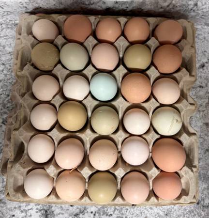 Eggs 1