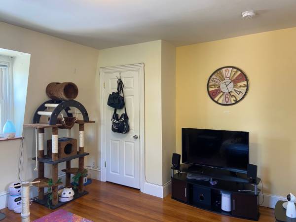 $1,860 / 1br - 700ft2 - Newly Renovated - Sunny Spacious One Bedroom Apartment (Malden Center)63856229644417123