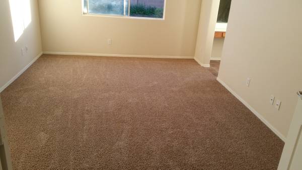 CARPET, VINYL PLANK 1