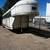 Cattle Trailer 4 thumbnail
