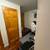 Beautiful 1 Bdrm Apt for Rent 5 thumbnail