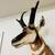 Antelope Mounts (Taxidermy) 10 thumbnail