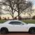 2023 Challenger Scat Pack 6.4L V8, Clean 8 thumbnail