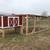Sheds for animals 9 thumbnail