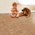 Desert Arable - Cork Flooring Available at Lowest Price 6 thumbnail