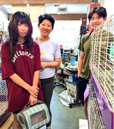 Volunteers needed Rabbit & Guinea Pig rescue (Oakland)63654744334467124