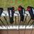 Orlimar Trimetal II Fairway Wood Set 7 thumbnail