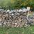 Firewood for sale 3 Cords, $100 for all 5 thumbnail