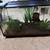 Fish Tank 2 thumbnail