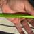 Brand New Fishing Rods/Reel Combos. Abu Garcia, Lews, Daiwa, Okuma 20 thumbnail