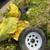 Free studded snow tires 3 thumbnail