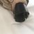 (2) Different Leaf/Lawn Blower/Vac. Bags. 2 thumbnail