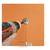Schluter Kerdi-Board-Kit Wall Surround Waterproofing Kit 8 thumbnail