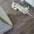 Female bull terrier 1 thumbnail